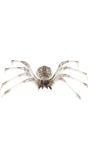 Groot spinnen skelet 85 x 35 cm halloween