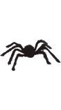 Grote harige spin Halloween