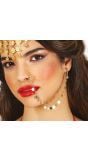 Gypsy Gouden Nep Neus en Oorring