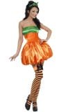 Halloween oranje pompoenen pakje