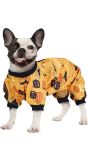 Halloween pompoen outfit hond