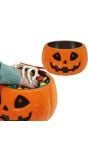 Halloween Pompoenkom met Licht en Geluid