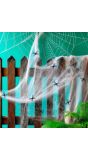 Halloween Spinnenweb Wit met Spinnen