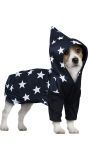 Halloween tovenaar outfit hond