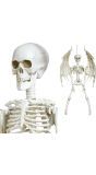 Hangdecoratie skelet met vleugels 46 cm halloween