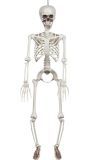 Hangdecoratie Skelet Standaard Wit Halloween