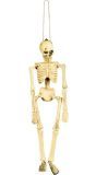Hangend halloween skelet decoratie