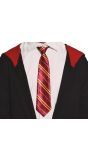 Harry Potter Stropdas Griffindor