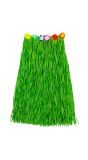 Hawaï Hula Rok Groen Feest Dames