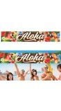 Hawaii Aloha Banner