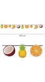 Hawaii Fruit Slinger Vlaggetjes 3 Meter