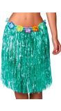 Hawaii hularok aqua