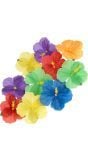 Hawaii kleurrijke decoratie bloemen