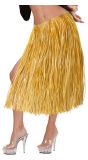 Hawaii rok beige