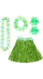 Hawaii rokje en slingers groen