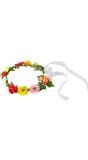 Hippies Diadeem met Lint