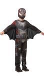 Hoe Tem Je Een Draak Hiccup Outfit Jongens