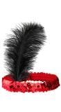 Hoofdband met Veer 20S Rood