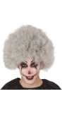 Horror Clown Pruik Grijs