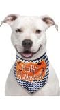 Huisdieren sjaal "Happy Halloween" halloween