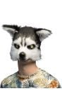 Husky Masker Pluche