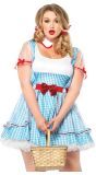 Jurk Wizard of Oz