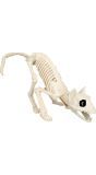 Kattenskelet Halloween Decoraties