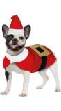 Kerstman kostuum voor honden