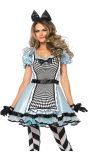 Kostuum Alice In Wonderland