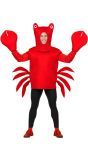 Krab Outfit Volwassenen