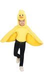 Kuiken Cape Kind