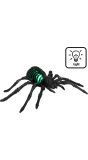 LED Spinnenskelet Zwart Halloween
