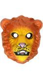 Leeuwen masker kind