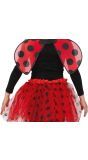 Lieveheersbeestje Outfit Kind