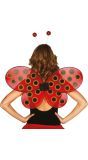 Lieveheersbeestje vleugels rood zwart