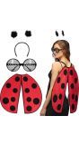 Lieveheerstbeestje Accessoireset 3-Delig