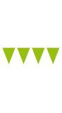 Lime groene vlaggenlijn XL 10 meter