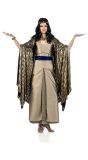Luxe gouden Cleopatra jurk