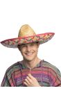 Mexicaanse Sombrero Heren