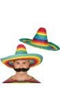 Mexicaanse Strohoed Regenboog