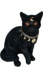 Mystieke Zwarte Kat Halloween