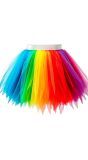 Neon Regenboog Dames Tutu met Binnenzak