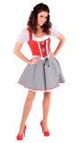 Oktoberfest jurkje dames