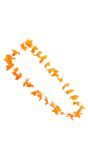 Oranje hawaii krans
