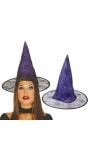 Paarse heksenhoed halloween