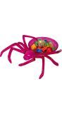 Paarse spin opdienschaal 21 cm halloween