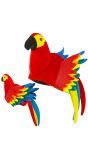 Papegaai Pet Rood Dames Mannen