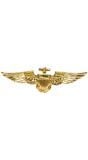 Piloten broche