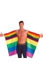 Pride Regenboog Cape Vlag