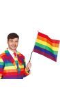 Pride Regenboog Vlag met Stok